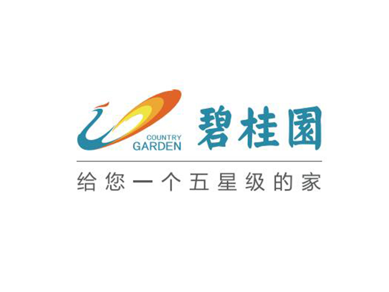 案例展示